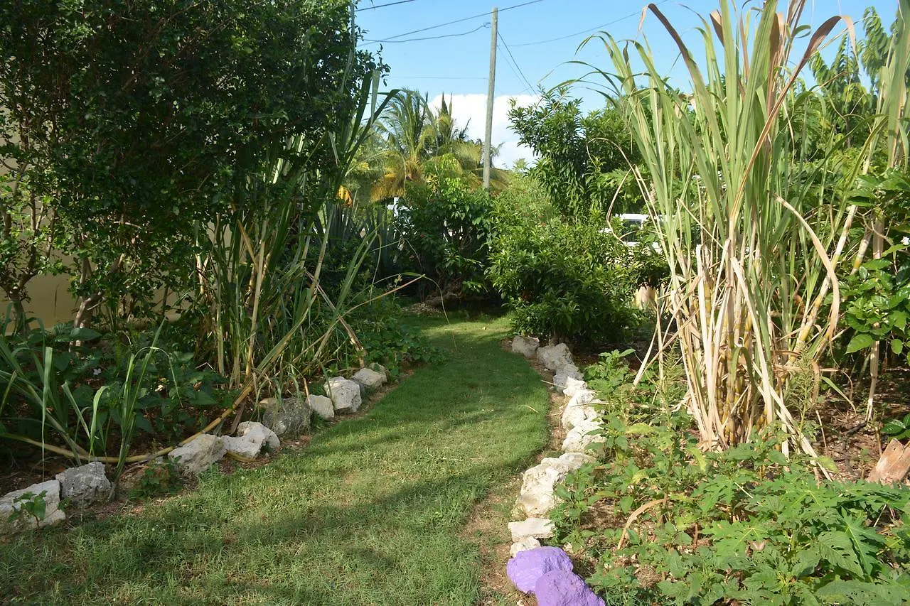 ווסט ביי Iron Shore Guest House 0*, ווסט ביי